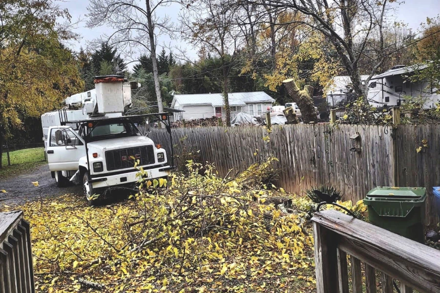 white tree removal machine with a tree fallen on front